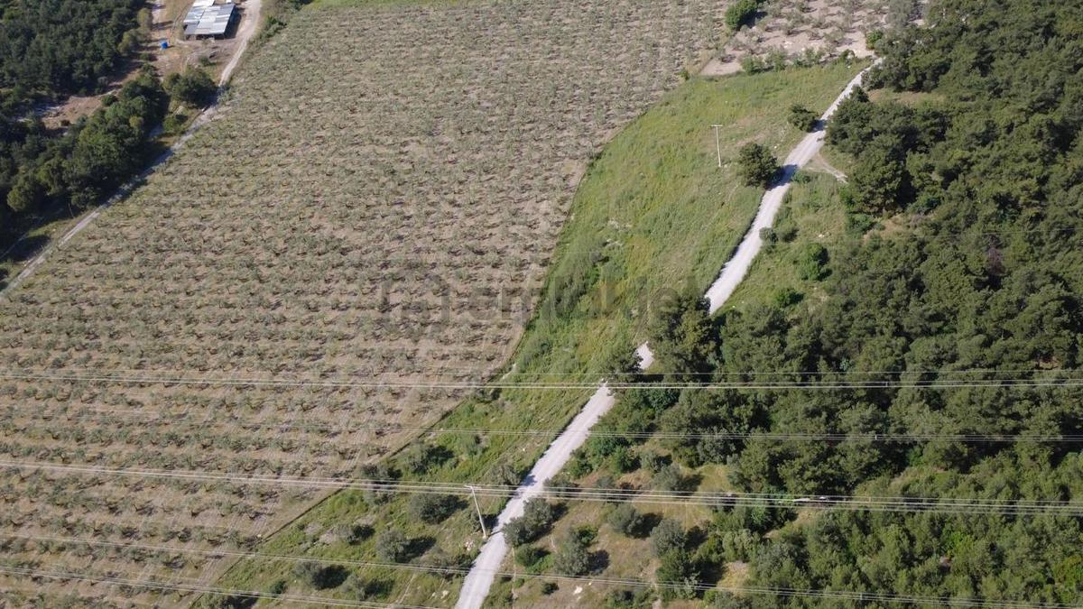 Yola Cephe 7000m2 Tek Tapu Arsa - 16