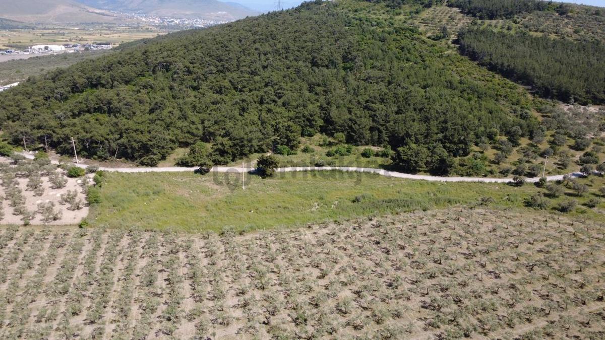 Yola Cephe 7000m2 Tek Tapu Arsa - 19