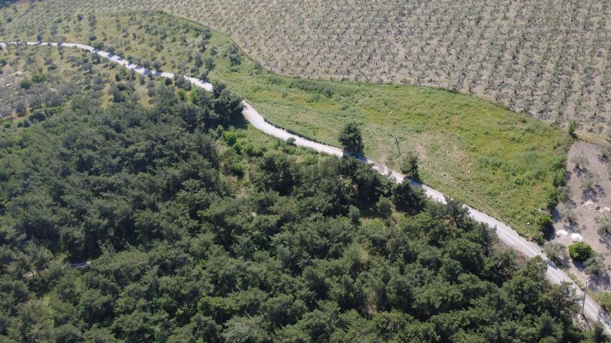 Yola Cephe 7000m2 Tek Tapu Arsa - 2