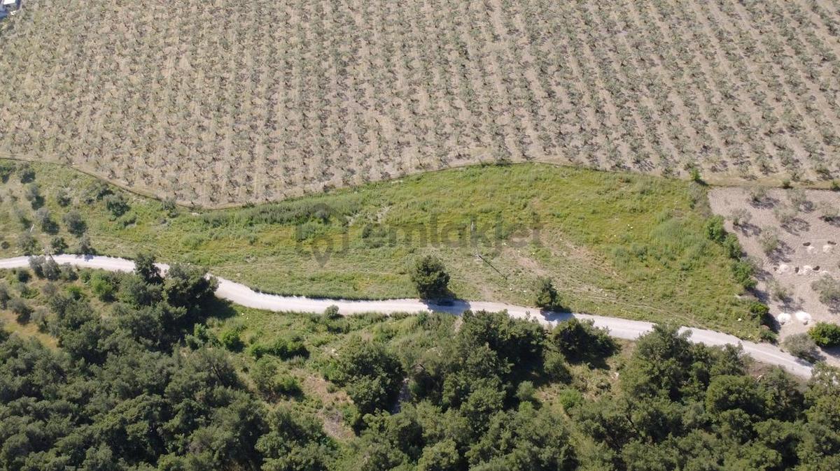Yola Cephe 7000m2 Tek Tapu Arsa - 10
