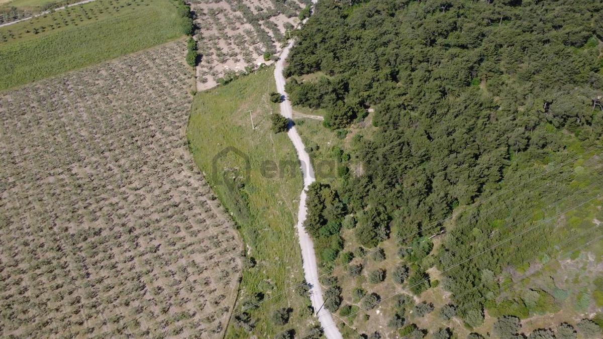 Yola Cephe 7000m2 Tek Tapu Arsa - 17