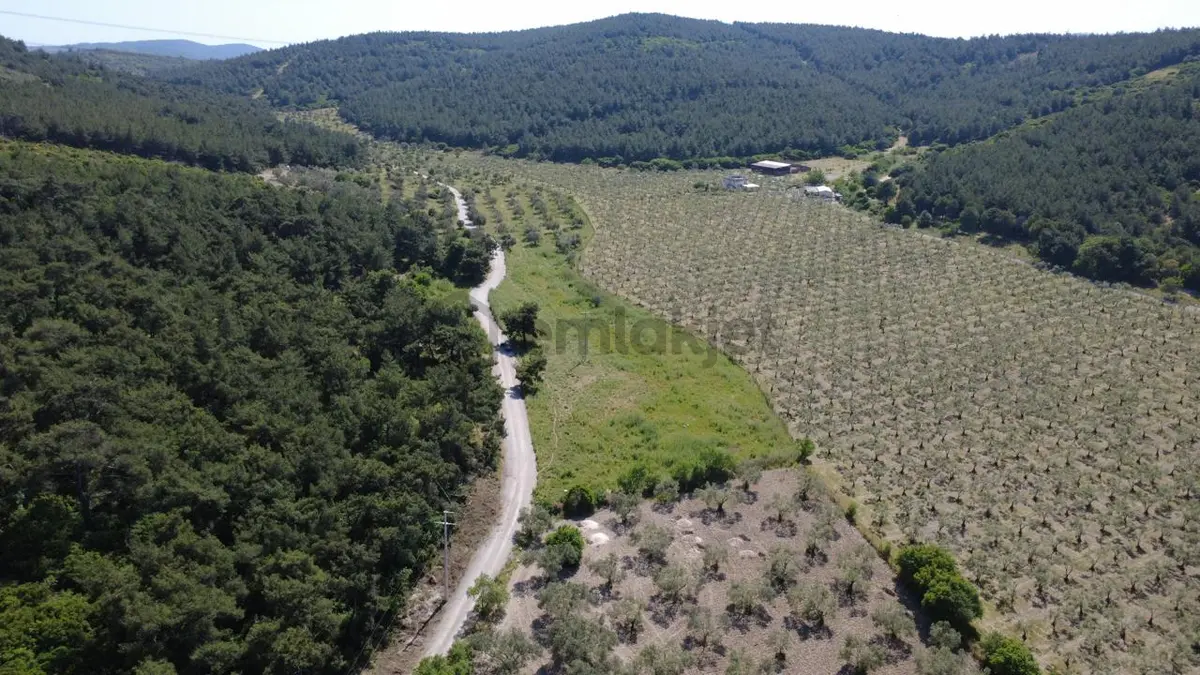 Yola Cephe 7000m2 Tek Tapu Arsa - 27