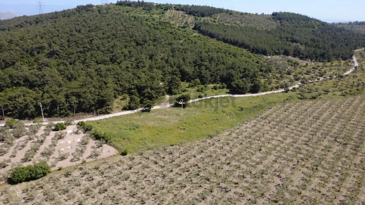 Yola Cephe 7000m2 Tek Tapu Arsa - 23
