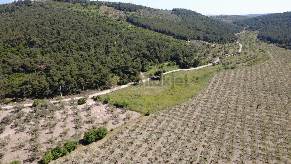 Yola Cephe 7000m2 Tek Tapu Arsa - 22