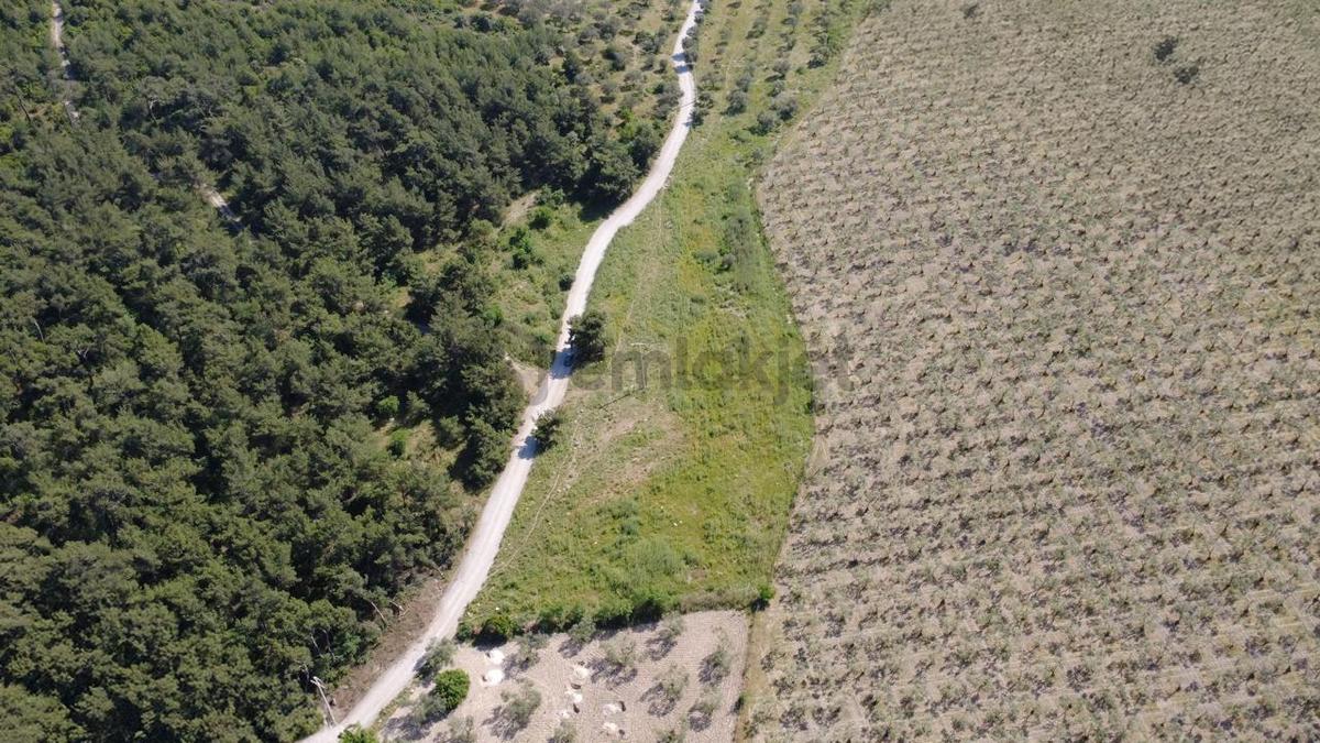Yola Cephe 7000m2 Tek Tapu Arsa - 4