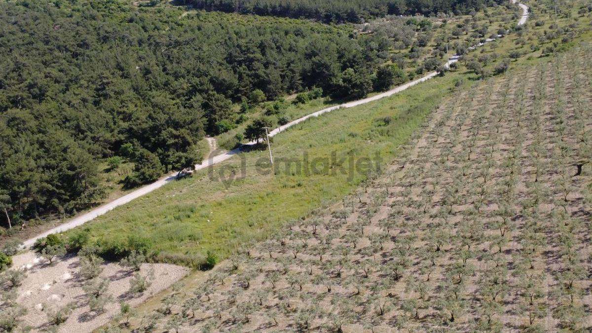 Yola Cephe 7000m2 Tek Tapu Arsa - 7