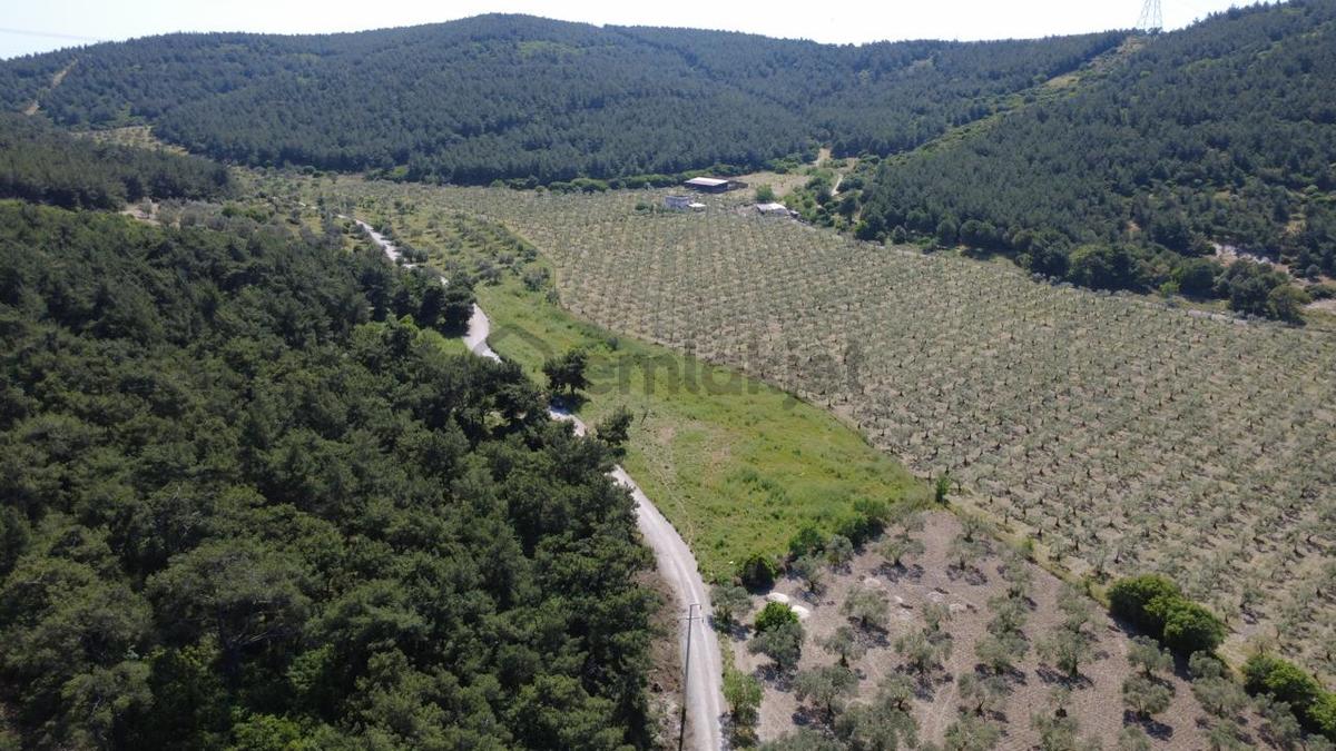 Yola Cephe 7000m2 Tek Tapu Arsa - 26