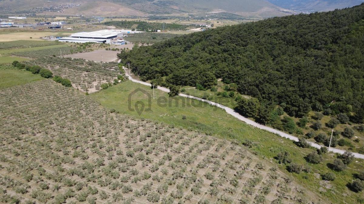 Yola Cephe 7000m2 Tek Tapu Arsa - 21