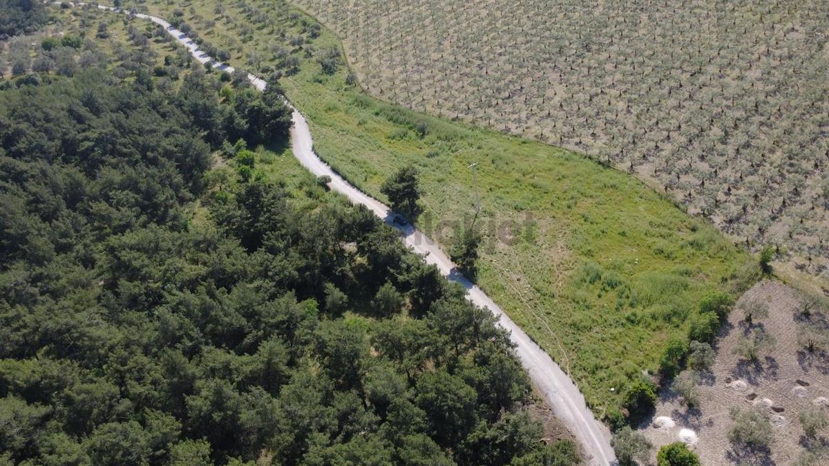 Yola Cephe 7000m2 Tek Tapu Arsa