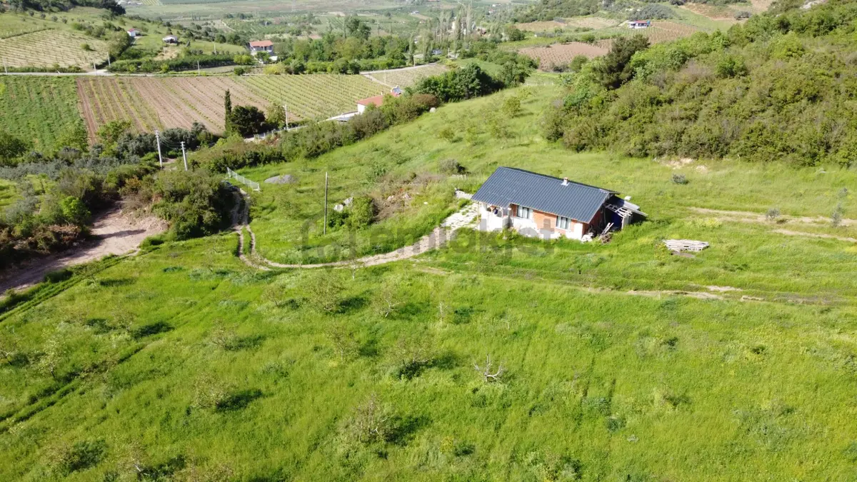 Sakarya Geyve Satılık Tarla Müstakıl Ev Cevizlik - 6