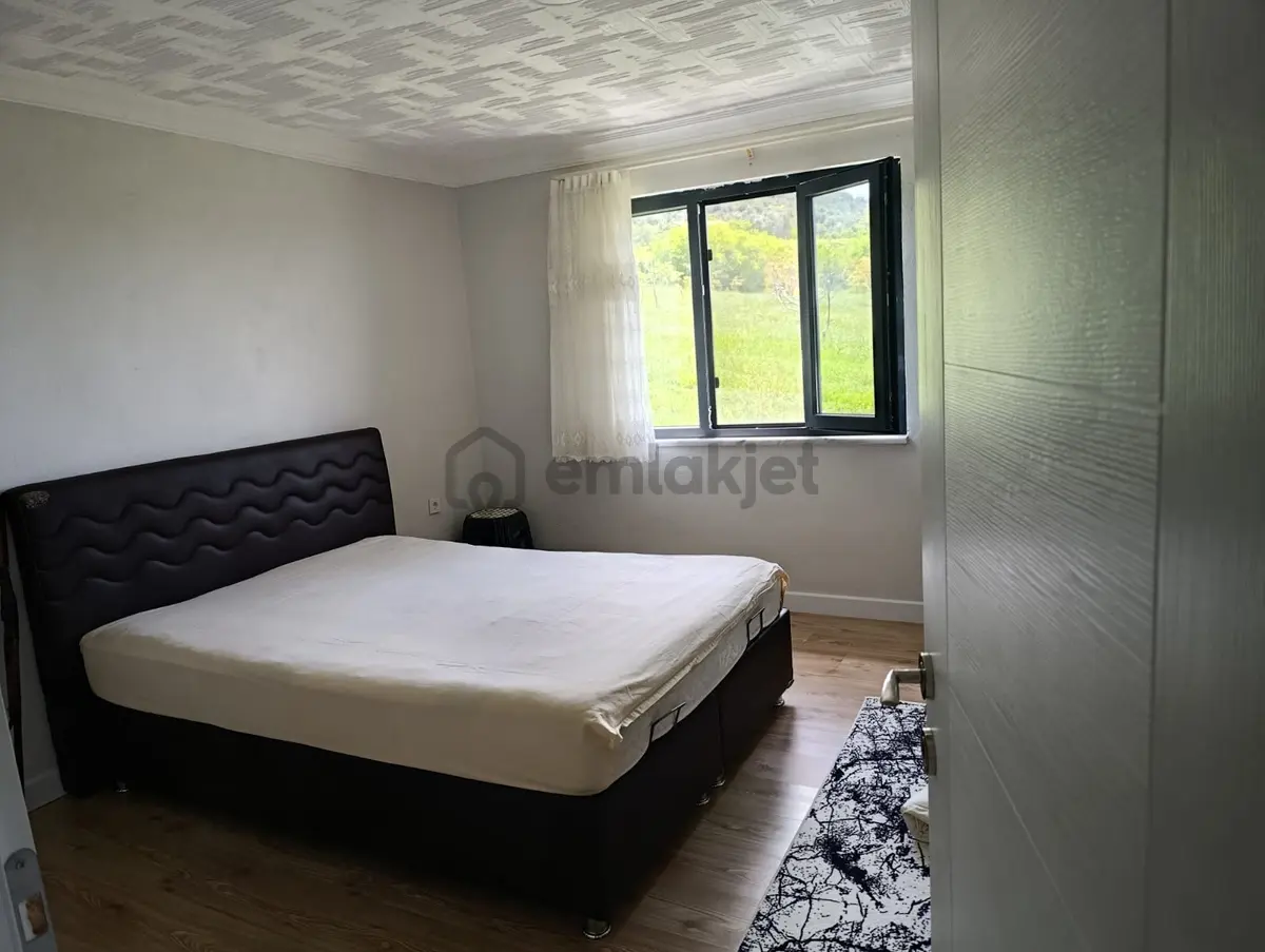 Sakarya Geyve Satılık Tarla Müstakıl Ev Cevizlik - 19