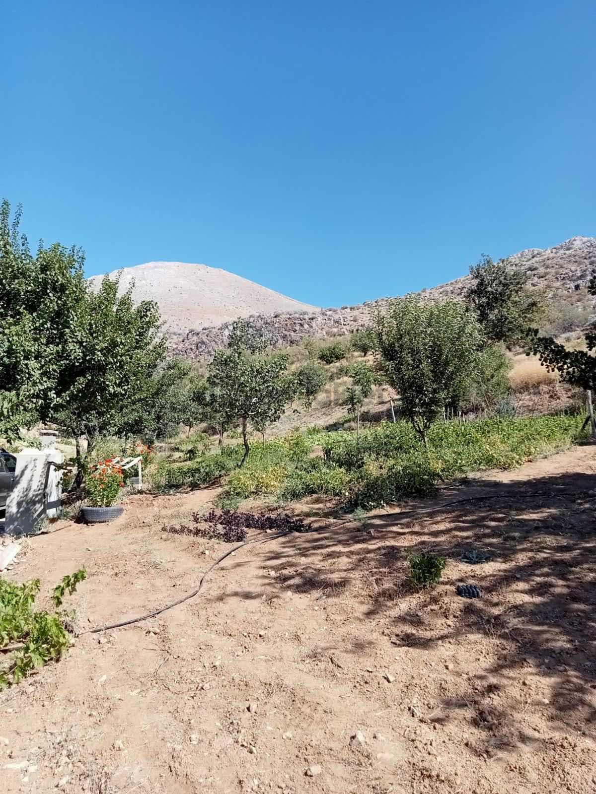 Ekinözü İçmeler De Satlık Arsa - 22