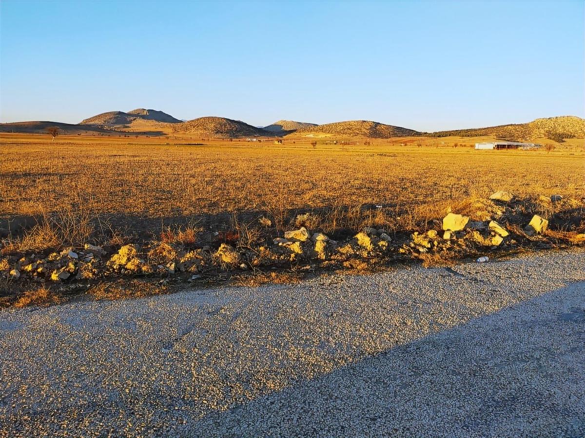 Antalya Korkuteli Büyükköyde Satılık Tarla 7700 M2 - 11