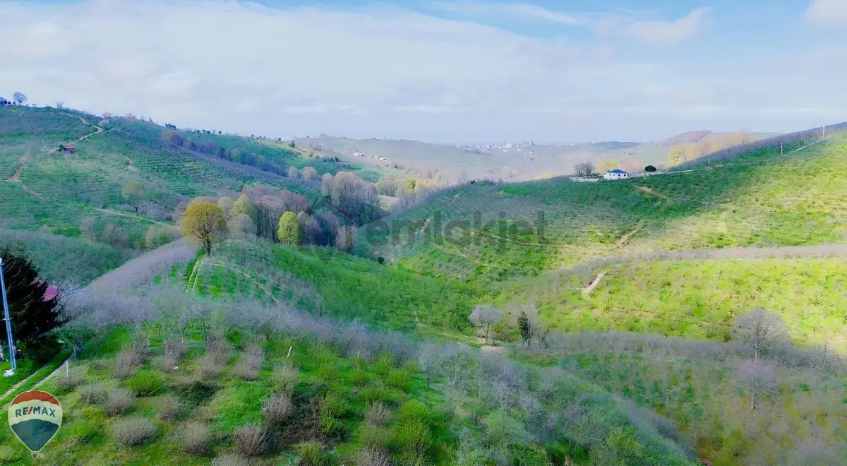 Kocaali Kirazlı Mahallesinde Satılık 800m² Köşe Arsa. - 14