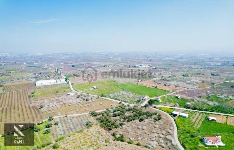 Kemalpaşa Ören 75. Yıl Satılık 8770 M2 Tek Tapu Tarla - 31
