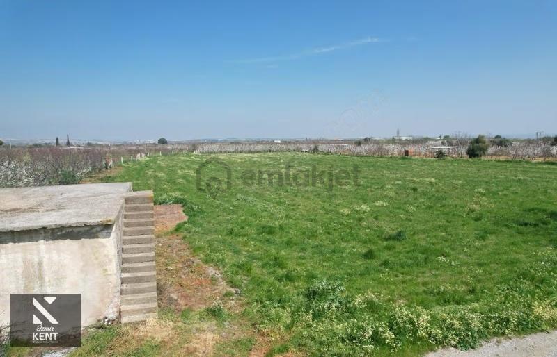 Kemalpaşa Ören 75. Yıl Satılık 8770 M2 Tek Tapu Tarla - 19