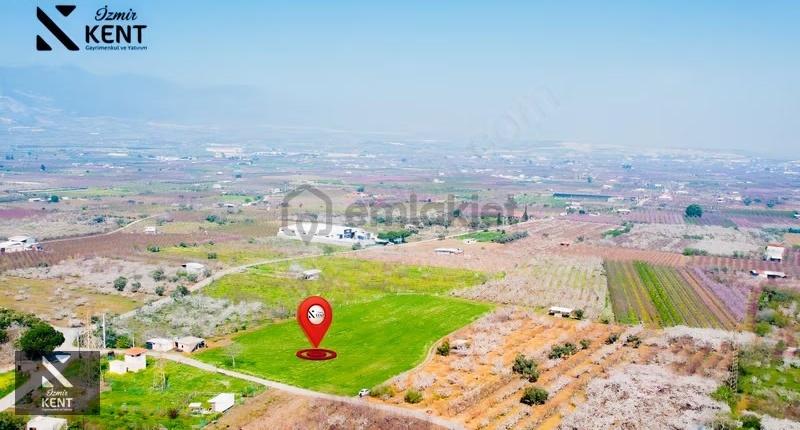 Kemalpaşa Ören 75. Yıl Satılık 8770 M2 Tek Tapu Tarla - 20