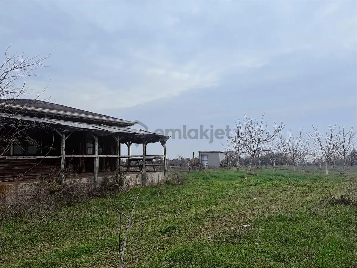 Remax Area Dan Satılık 22525 M2 Ceviz Bahçesi Ve Ev