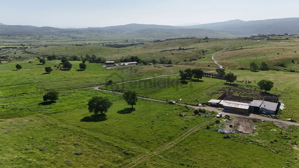 Remax Mid'den Kocaavşar Mah. 6236 M² Tarla - 9