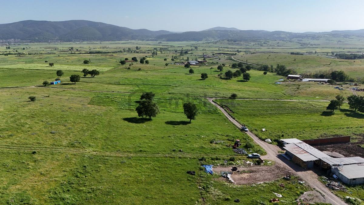 Remax Mid'den Kocaavşar Mah. 6236 M² Tarla - 10