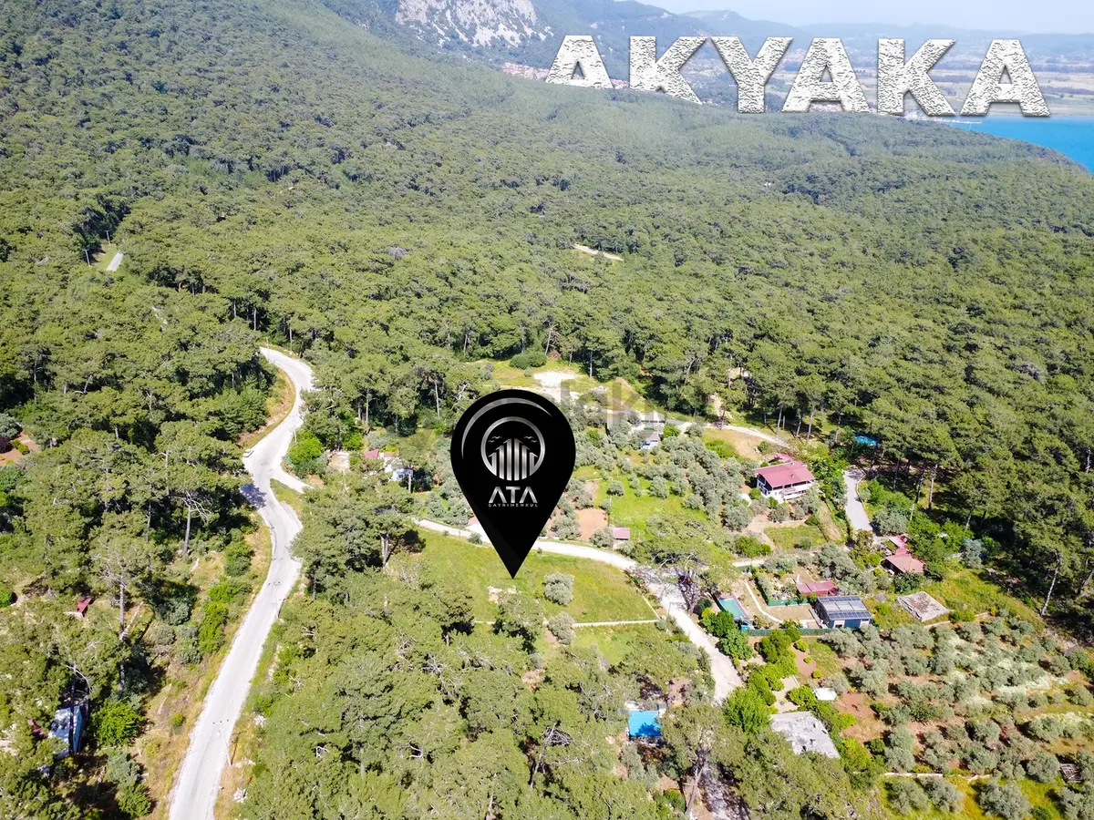 Ata'dan Akyaka Çınar Plajı Üzerinde Denize 600 Mt 2 Dönüm Arazi - 4