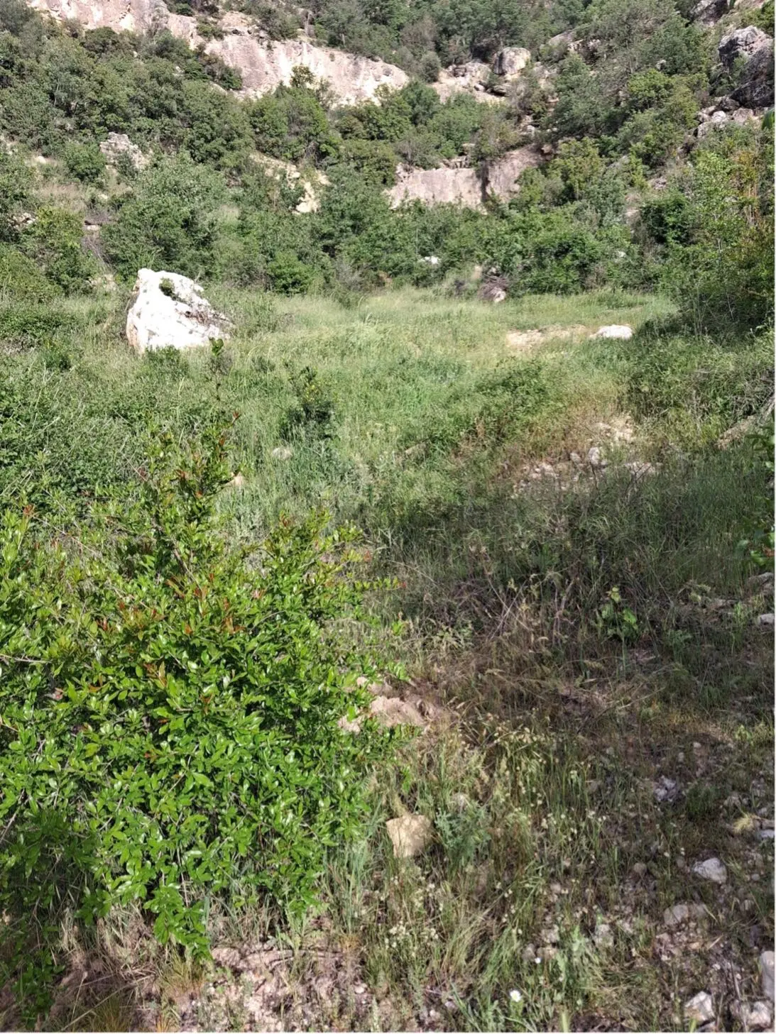 Mut Karacaoğlanda Satılık Tarla - 21