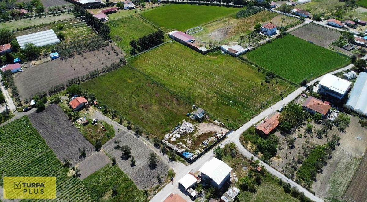 İzmir Urla Kuşçular Satılık 7.222 M2 Tarla