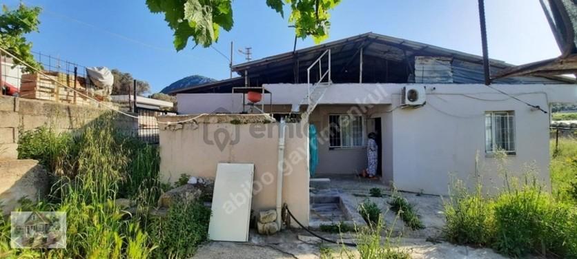 Abibodan Mustakıl Duz Ayak Tek Katlı - 6