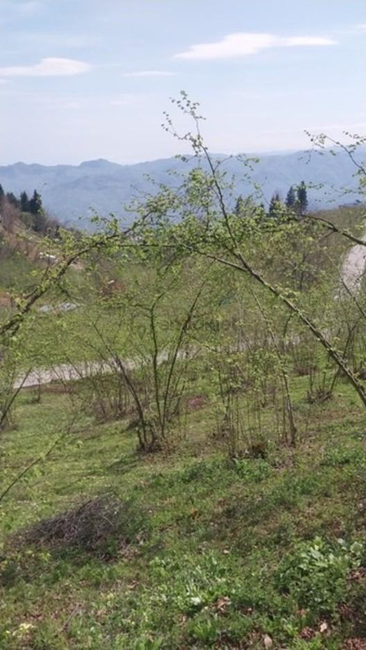 Kamışlı'da Önü Açık Doğa Manzaralı Arazi - 5