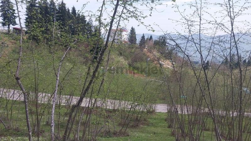 Kamışlı'da Önü Açık Doğa Manzaralı Arazi - 3