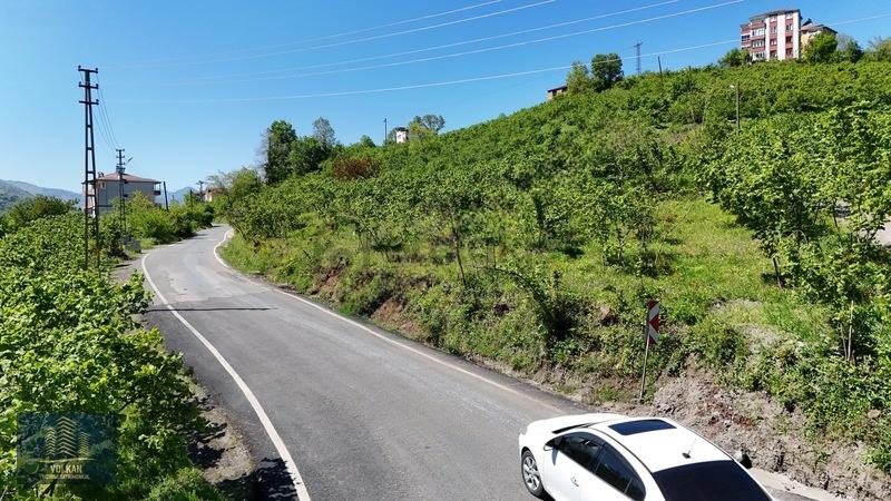 Vyg'den Ortahisar Kutlugün Mahallesinde 2456 M2 Arsa - 16