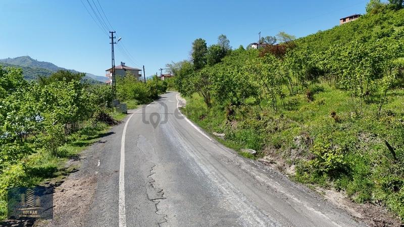 Vyg'den Ortahisar Kutlugün Mahallesinde 2456 M2 Arsa - 19