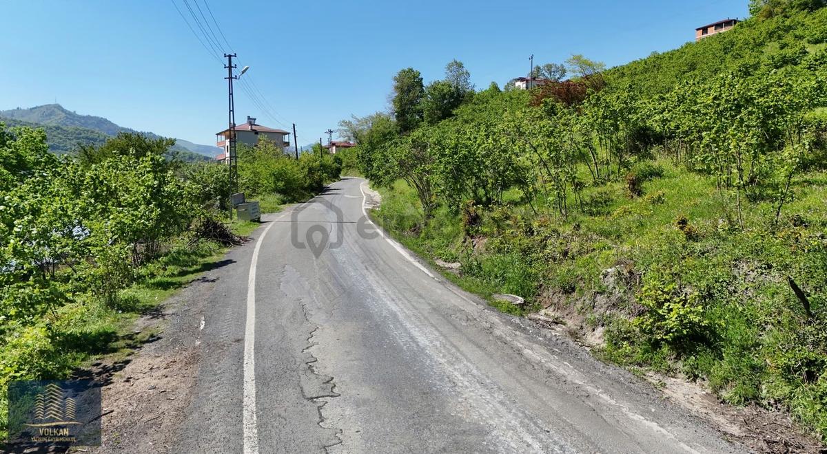 Vyg'den Ortahisar Kutlugün Mahallesinde 2456 M2 Arsa - 9