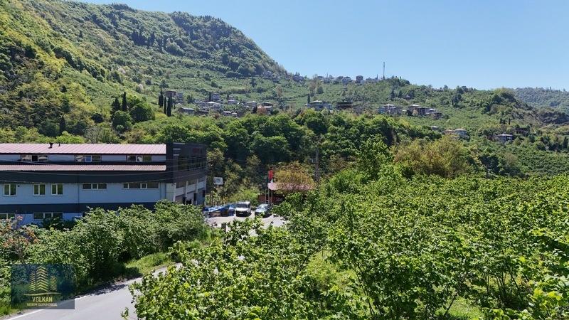 Vyg'den Ortahisar Kutlugün Mahallesinde 2456 M2 Arsa - 17