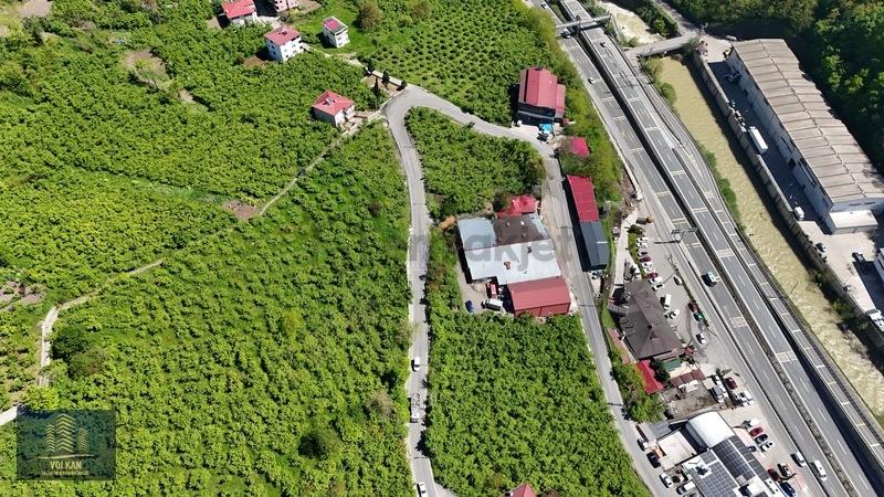 Vyg'den Ortahisar Kutlugün Mahallesinde 2456 M2 Arsa - 13