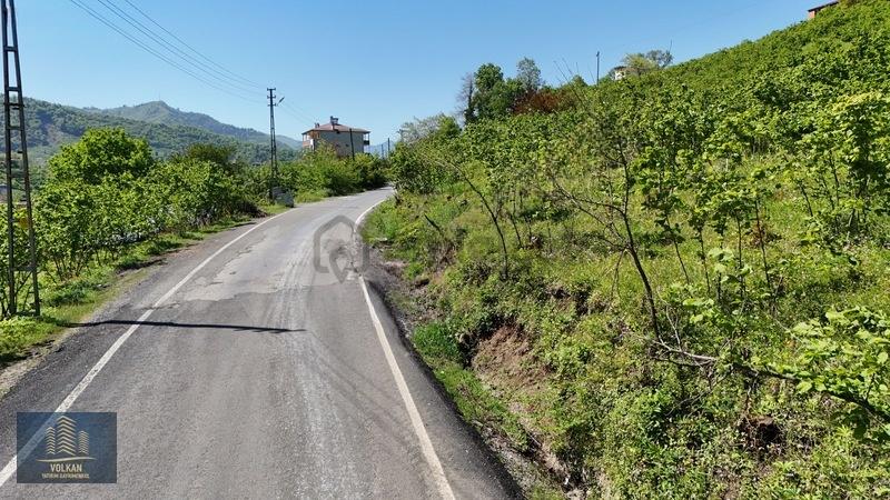 Vyg'den Ortahisar Kutlugün Mahallesinde 2456 M2 Arsa - 18