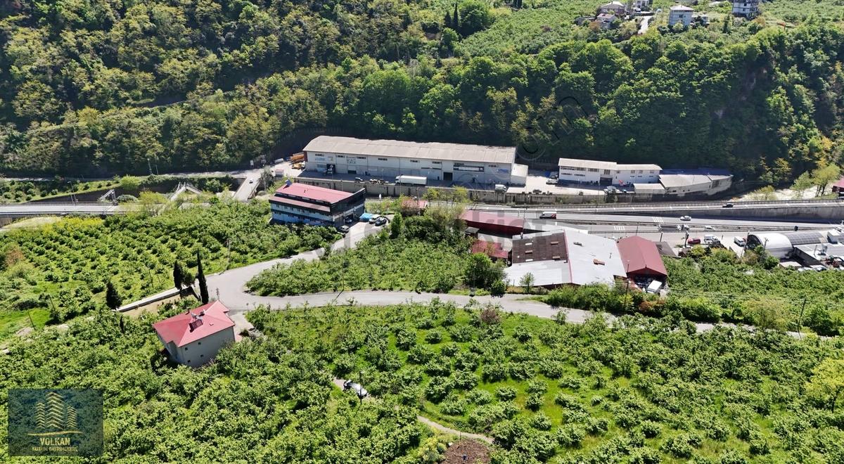 Vyg'den Ortahisar Kutlugün Mahallesinde 2456 M2 Arsa - 5
