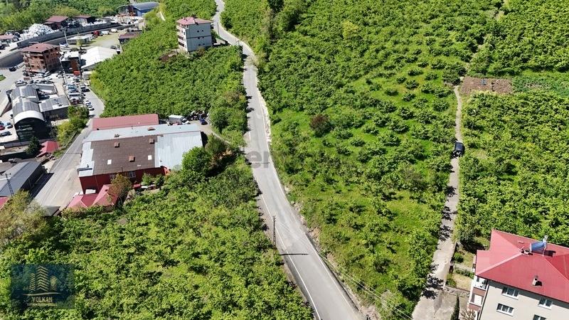 Vyg'den Ortahisar Kutlugün Mahallesinde 2456 M2 Arsa - 11