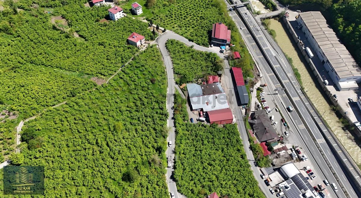 Vyg'den Ortahisar Kutlugün Mahallesinde 2456 M2 Arsa - 11