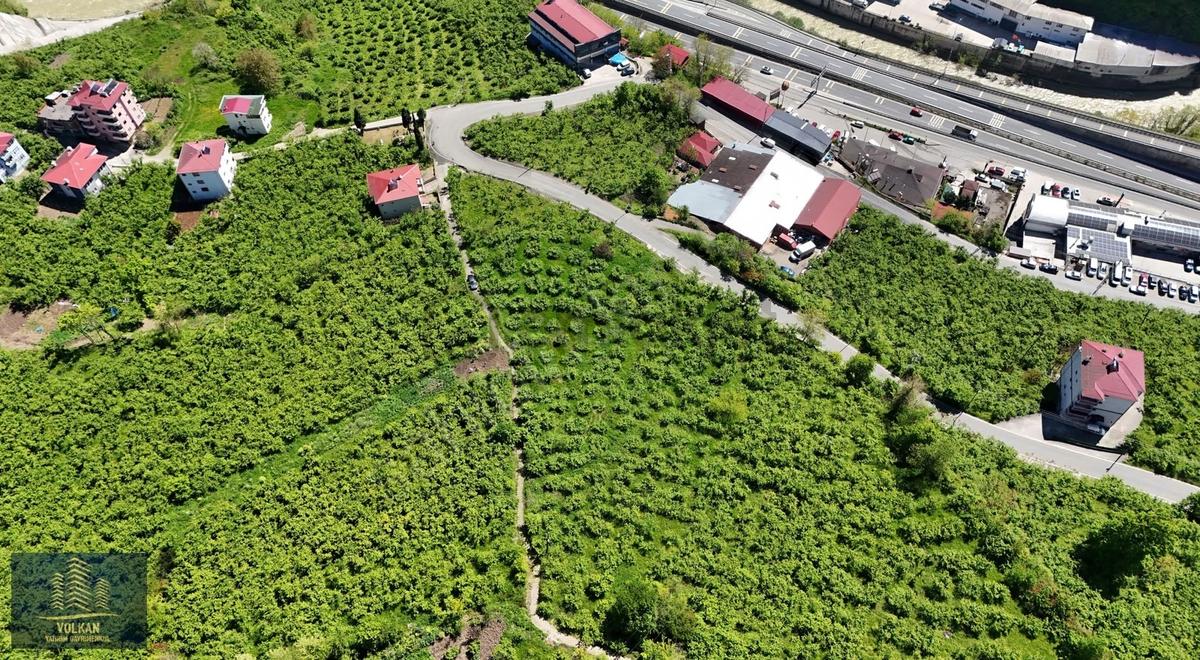 Vyg'den Ortahisar Kutlugün Mahallesinde 2456 M2 Arsa - 6