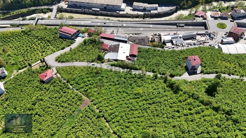 Vyg'den Ortahisar Kutlugün Mahallesinde 2456 M2 Arsa - 15