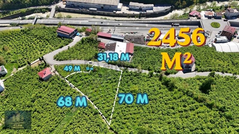 Vyg'den Ortahisar Kutlugün Mahallesinde 2456 M2 Arsa - 3
