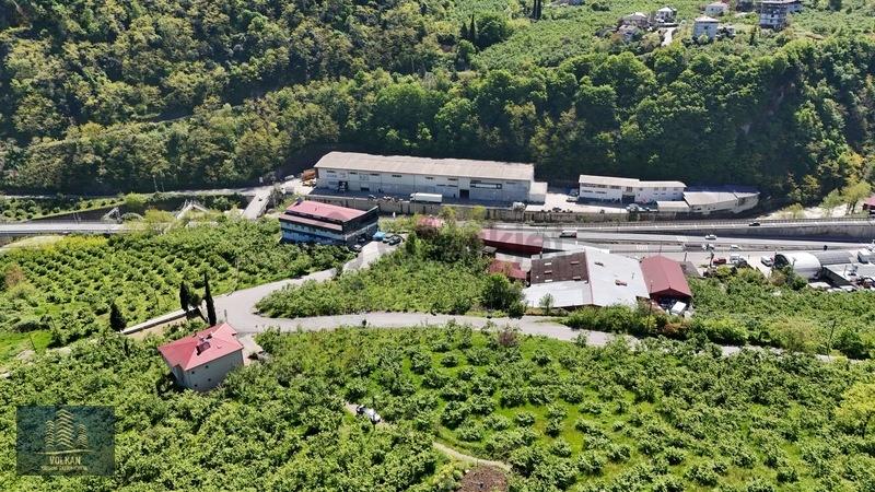 Vyg'den Ortahisar Kutlugün Mahallesinde 2456 M2 Arsa - 7
