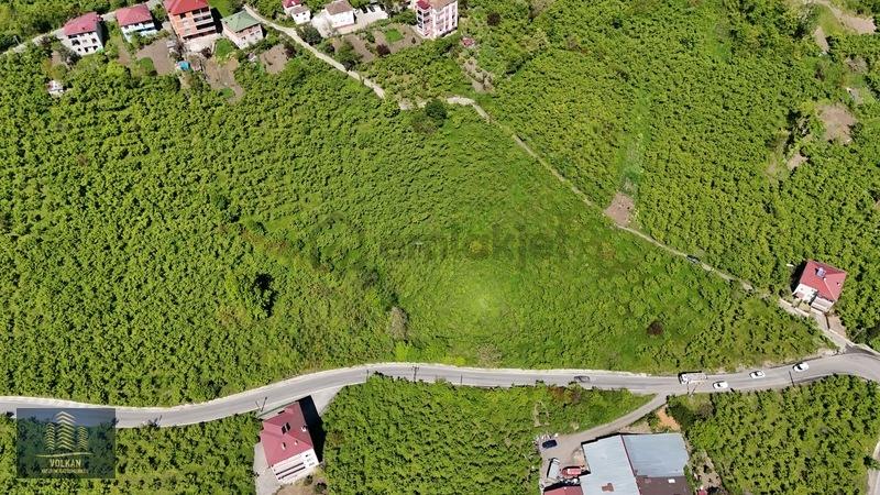 Vyg'den Ortahisar Kutlugün Mahallesinde 2456 M2 Arsa - 12
