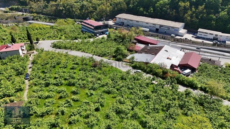 Vyg'den Ortahisar Kutlugün Mahallesinde 2456 M2 Arsa - 5