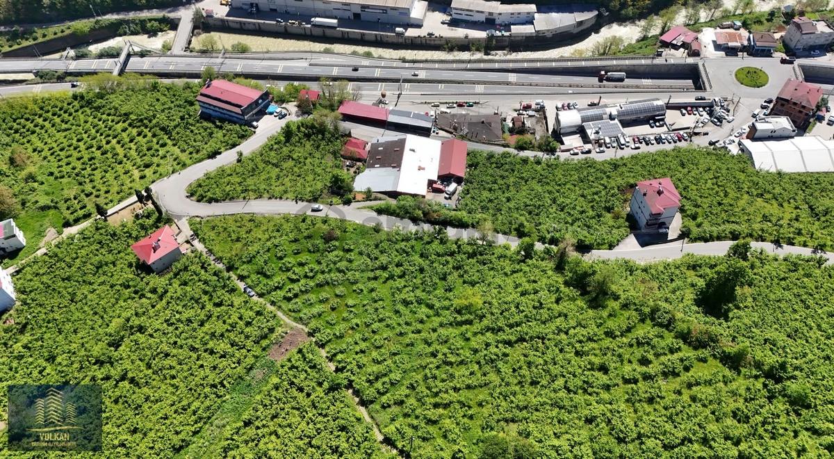 Vyg'den Ortahisar Kutlugün Mahallesinde 2456 M2 Arsa - 13