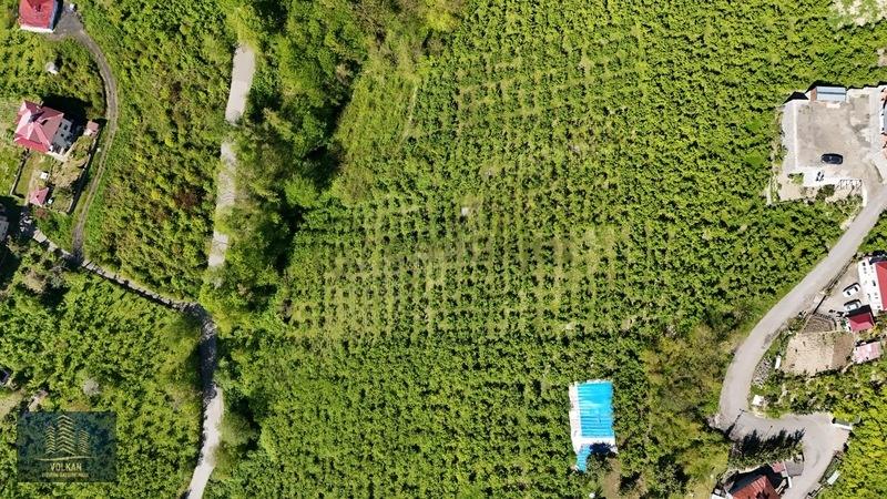 Vyg'den Derecik Mah. 5113 M2 Satılık Arsa - 11