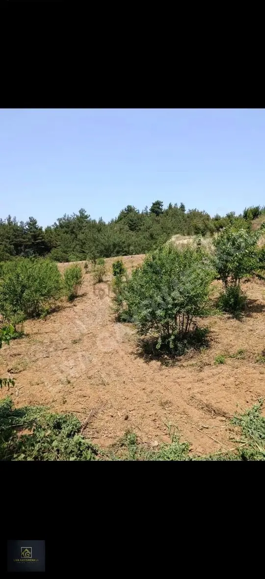 Manisa Turgutlu Bozkir Mah. - 19