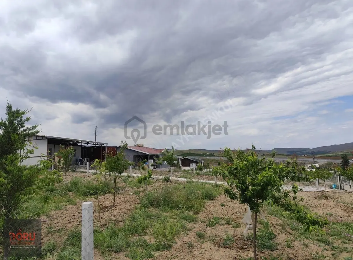 Doru'dan Malatya Merdivenlerde Doğal Yaşam Alanı - 7