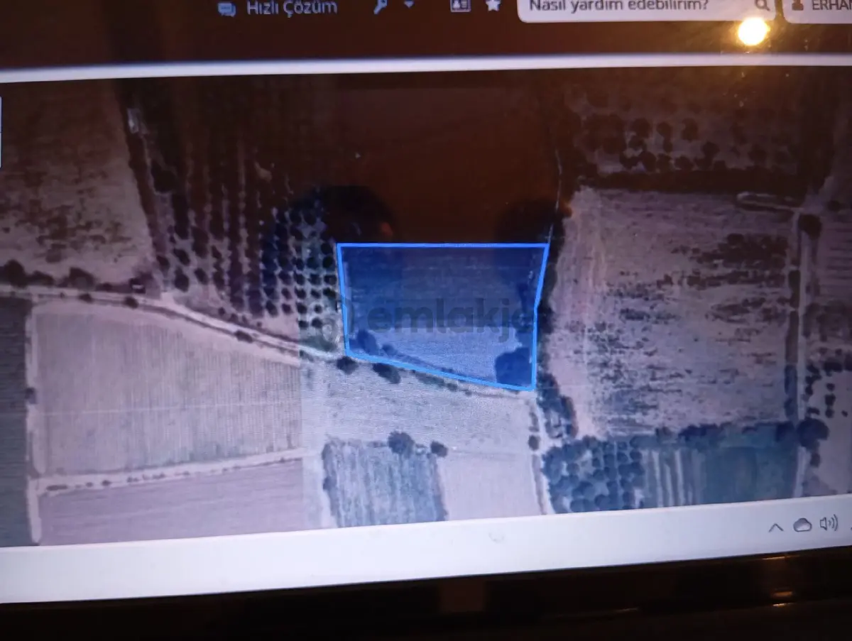 Sahibinden Aydın/atça 3.814,71 M2 Bahçe
